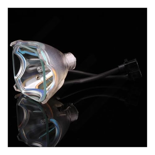 Ampoule de projecteur haute luminosité pour SONY LMP-H210 VPL-HW65ES pièce de rechange