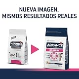 ADVANCE Urinary Trockenfutter Katze, 1-er Pack (1 x 1.5 kg)
