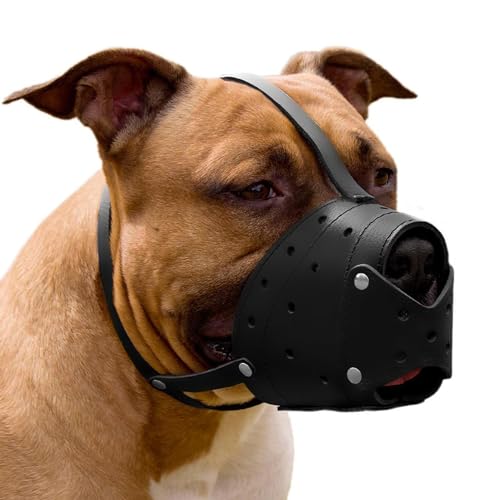 CollarDirect Leather Basket Dog Muzzle for German Shepherd Staffordshire Terrier Pitbull Medium Large Breeds Training, Anti-Barking, Biting, Chewing (Black)
