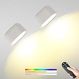 ✅ 【Ricaricabile tramite USB】: la lampada da parete a LED ha una batteria integrata da 2500 mAh. Dotato di un cavo di ricarica, la ricarica completa richiede 5-6 ore e può funzionare fino a 25 ore nella modalità più bassa e fino a 7 ore al livello di luminosità più alto. Questa lampada da parete ha una durata ultra lunga di 35.000 ore o più e ha effetti di risparmio energetico e risparmio energetico.Ampiamente utilizzata in armadi, pareti TV, soggiorni, camere da letto, scale.