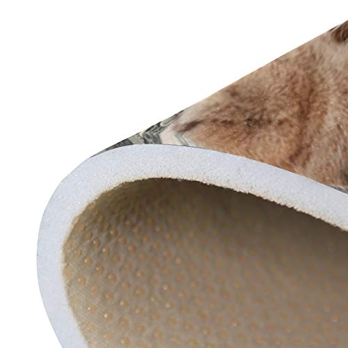 Alaza Hipster Cat Kitten Dollar Money Area Rug Rugs For Living Room Bedroom 5'3"X4' #TOP5