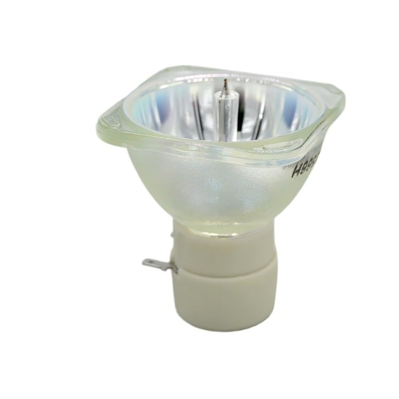 Ampoule de projecteur W303 DX313 pour une clarté et durabilité accrues