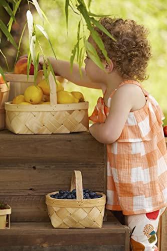 Mud Pie Tunic & Capri Set, Fruit, 12-18 Months #TOP2