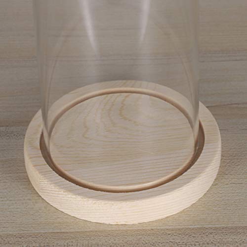 IMIKEYA Copertura di Vetro del Fiore vetrina di