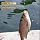 Fishing Spring Feeder Rigs, Señuelo con Doble Anzuelo y Resorte para Pesca de Carpa y Bagre miniatura 6