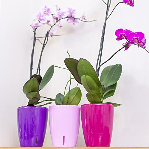 Orchideentopf Santino D 15 cm mit Selbstbewässerung und Wasserstandsanzeige