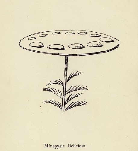 Tableau Minpsysia Deliciosa Edward Lear pour habiller un mur vide avec un poster vintage chic