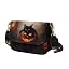 Halloween Cat