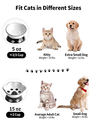 Loejan Elevated Cat Food Bowl, 15 Oz Ceramic Raised And Tilted Pet Water Bowl, Anti Vomiting And Protect Pets' Spines Cat Dishes For Small Dog, Fat Faced Cat, Kitten (Black, 5 Oz) (Black - 5Oz) #TOP3