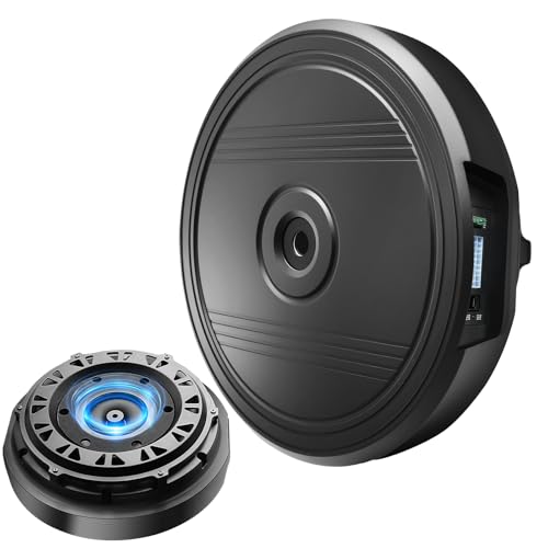 EagleNav 12" Car Subwoofer