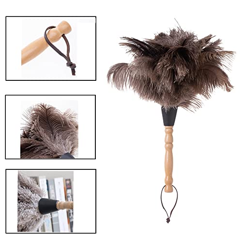 Ostrich Feather Dusters Natural Feathers Duster With Wooden Handle Natural Ostrich Feathers For Home Cleaning And Office Finishing Duster(2Pcs，Length14” #TOP3