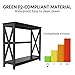 Yaheetech Console Table for Entryway, 2 Tier Entryway Table Bookshelf Accent Table w/Storage Shelf Living Room Entry Hall Foyer Table Furniture, Black,X-Design