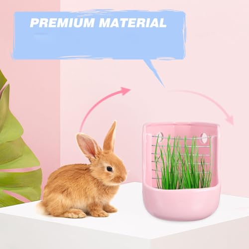 Comedero de cerámica para pequeños animales resistente de alta durabilidad 5