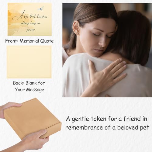 https://m.media-amazon.com/images/I/41amyxMJOfL.jpg