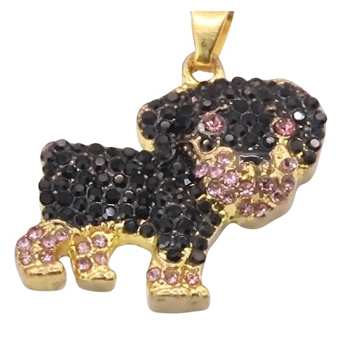 Collier Rottweiler B245 résistant en alliage argenté pour chien actif - 2