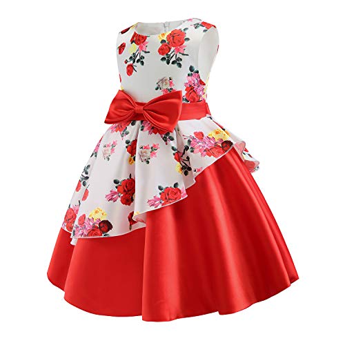 AIMJCHLD 2-9T Girls Flower Dress Kids Formal Special Occasion Party Dresses2