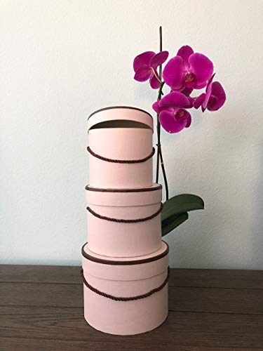 UNIKPACKAGING Premium Quality Round Flower Box, Gift Box, Set of 3 pcs, with Lids, Size (S/M/L) (Powder with Brown Rim)