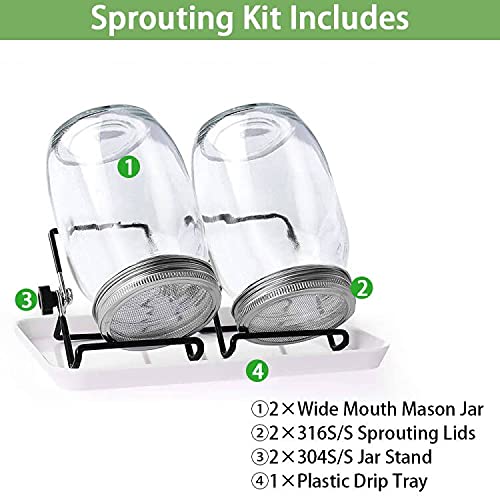 Sprossenglas Keimglas Set, 2 Mason Jars 36oz mit Siebdeckeln aus Edelstahl, Tablett und Ständer, Samenzuchtset für Bohnensprossen, Brokkolisamen, Luzerne, Salat in der Küche, 1000 ml - Image 3