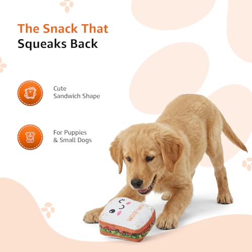 Image of Amazon Basics Squeaky Plush Dog Toy | Cute Sandwich Design | Crinkle & Squeak Sound | Soft & Durable | for Puppies & Small Dogs | Ideal for Chewing, Fetch & Play