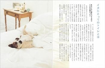 Tankobon Softcover ???????????? ??????????? [Japanese] Book