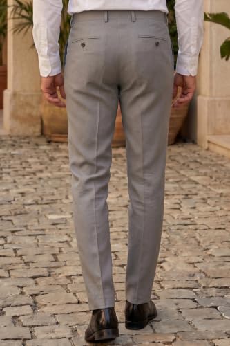 Image of Louis Philippe Men's Regular Fit Fashionable Pleated Trouser Work Ready Solid Formal Trouser