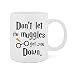 Don't Let The Muggles Get You Down - 11 Oz White Ceramic Glossy Mug With Large C-handle (Microwave and Dishwasher Safe)