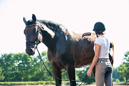 Horse Grooming Kit(10-Piece),Portable Storage Box,Horse Cleaning Tool Set with Assorted Hair and Curry Brushes, Hoof Pick Sweat Scraper,Grooming Glove,Riding Equipment for Beginners.