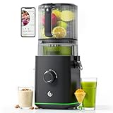 VANDISELL Cold Press Juicer, 3-in-1 Juicer Machines with 6.5' Large Feed Chute for Whole Fruits & Vegetables, 100oz Large Capacity for Family Use, Makes Juice, Nut Milk & Sorbet