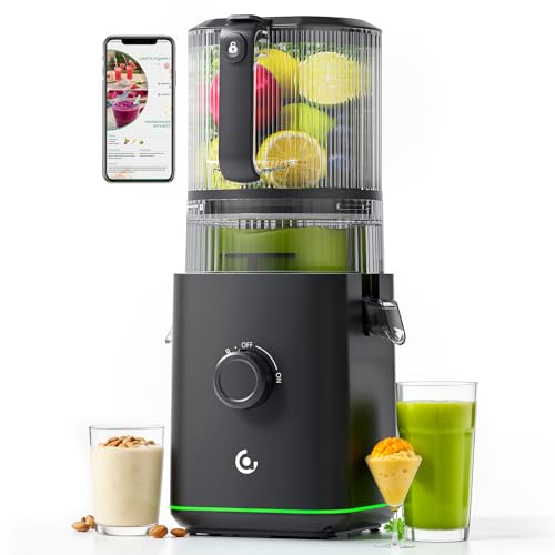 VANDISELL 3-in-1 Cold Press Juicer with Wide Feed