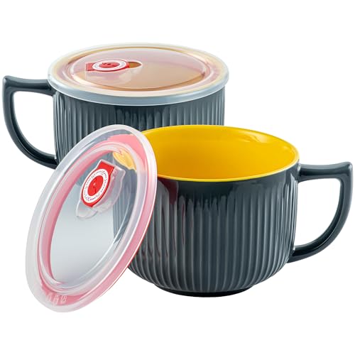 Hoilse Oversized 38oz Soup Bowl with Handle, Large Wide Ramen Bowl with Lid, Jumbo Soup mugs Containers for Ramen, Instant Noodle, Pastas, Oatmeals, Microwave and Dishwasher Safe - set of 2 (Gray) -  Large ramen bowl-2 gray