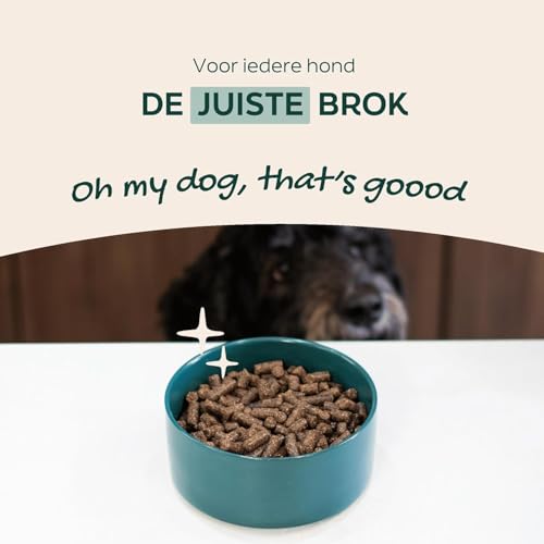 WOOOF Lamm & Reis 14kg kaltgepresstes, getreidefreies und hypoallergenes Hundefutter | Trockenfutter, leicht verdaulich, ohne Weizengluten