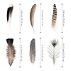 Natural Feathers Bulk - 55PCS - 6 Styles Assorted Natural Feathers, Peacock Feathers, Pheasant Feathers, Turkey Feathers for DIY Crafts, Wedding, Crafting Supplies #1