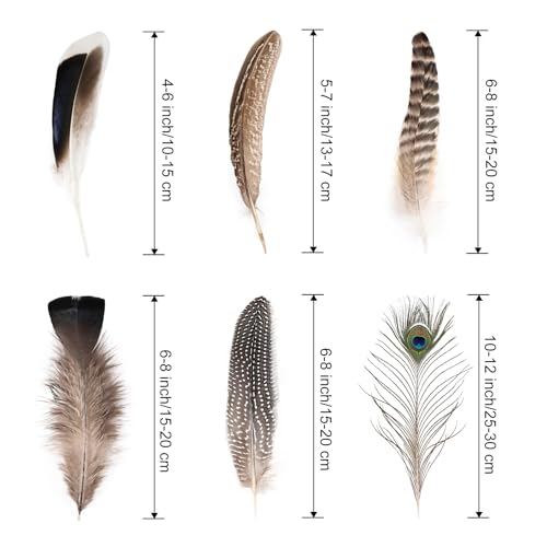 Natural Feathers Bulk - 55PCS - 6 Styles Assorted Natural Feathers, Peacock Feathers, Pheasant Feathers, Turkey Feathers for DIY Crafts, Wedding, Crafting Supplies