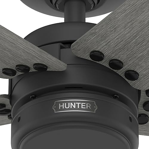 Image of Hunter Burton, Outdoor or Indoor, Ceiling Fan, 52 inch, Matte Black
