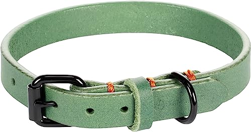 Flamingo Dog Collar Leano Green S 29-35cm 15mm - Image 2