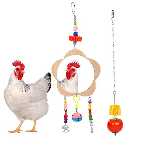 QBLEEV 2 Pack Chicken Hanging Feeder and Mirror Toysï¼Stainless Steel Chain Toy Fruit Vegetable Holder for Hens Cocksï¼Large Bird Food Skewer Wood Mirror Toy with Bells for Caique Parrot Macaw