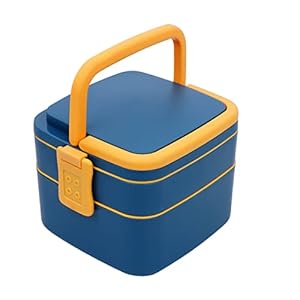 Tosaa Double-Layer Square Lunch Box with Handle, 2 Compartment Tiffin with Handle & Push Lock, Plastic Tiffin Box for Travelling, School Kids (Multicolor)