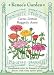 Zinnia Raggedy Anne