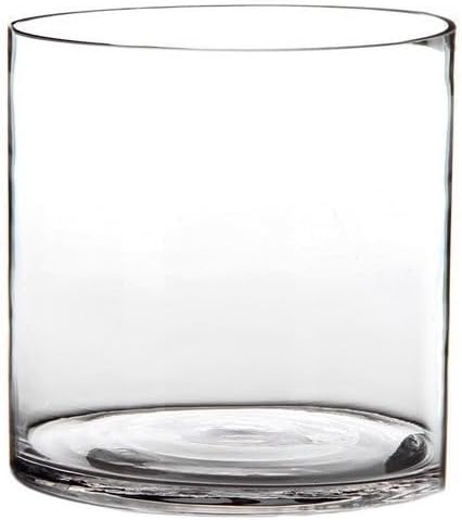 Vaso de vidro cilíndrico LOLAhome 20x20 cm