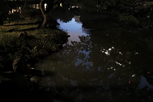 Fujifilm XF23MMF2 R WR Camera Lens (Silver) - Image 3