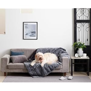 MONSTERA-Waterproof-Throw-Blanket-for-Adults-Pets-Calming-Soft-Faux-Fur-Cover-for-Beds-Couches-Sofas-Washable-Furniture-Protector-for-Dogs-and-Cats-Grey-50-x-60 - Cucciolini Doodles   MONSTERA-Waterproof-Throw-Blanket-for-Adults-Pets-Calming-Soft-Faux-Fur-Cover-for-Beds-Couches-Sofas-Washable-Furniture-Protector-for-Dogs-and-Cats-Grey-50-x-60