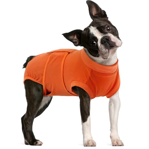 FUAMEY Dog Recovery Suit Male,Dogs Surgery Neuter Suits Puppy Spay Shirts for Female Protect Dog's Skin Anti Licking Abdominal Wounds Doggie Onesie Pet Bodysuit Alternative to Cone Orange L