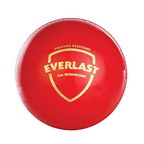 SG Everlast Ball