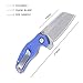 Kizer Knives Pocket Knife with Clip G10 Handles Material EDC Folding knife Mini Sheepdog V3488C3