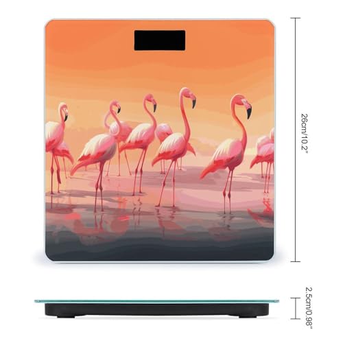 Báscula digital de baño con vidrio templado y pantalla LED miniatura 2