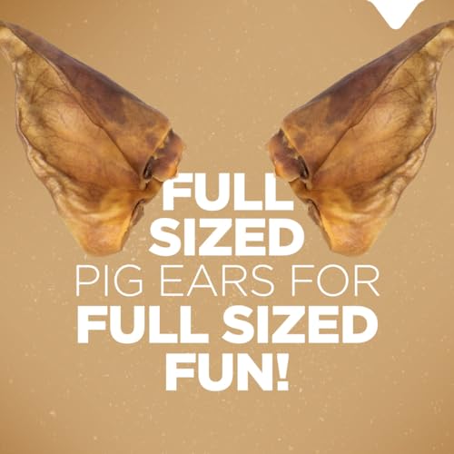 Natural-Farm-Pig-Ears-for-Dogs-8-Pack-One-Ingredient-Natural-Whole-Pigs-Ears-Air-Dried-Long-Lasting-Highly-Digestible-Treats-Great-for-Puppy-and-LargeMedium-Dogs - Cucciolini Doodles   Natural-Farm-Pig-Ears-for-Dogs-8-Pack-One-Ingredient-Natural-Whole-Pigs-Ears-Air-Dried-Long-Lasting-Highly-Digestible-Treats-Great-for-Puppy-and-LargeMedium-Dogs