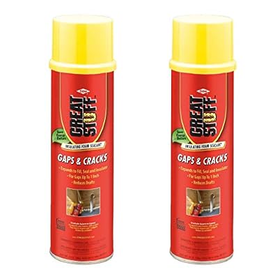GREAT STUFF Gaps & Cracks 20 oz Insulating Foam Sealan (2)