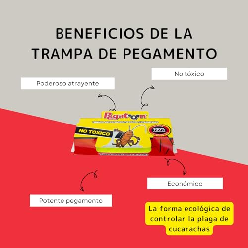 La Mejor review de Cebo extermina cucarachas bayer listamos los 10 mejores. 13 La Mejor review de Cebo extermina cucarachas bayer listamos los 10 mejores. 13