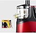 NBAAYIK Juicer Juicer, Slow Juicer,Compact Vertical Masticating Easy to Clean, Fresher Nutrient and Vitamins,Cold Press Juicer for All Fruits and Vegetable,Bass Noise Reduction