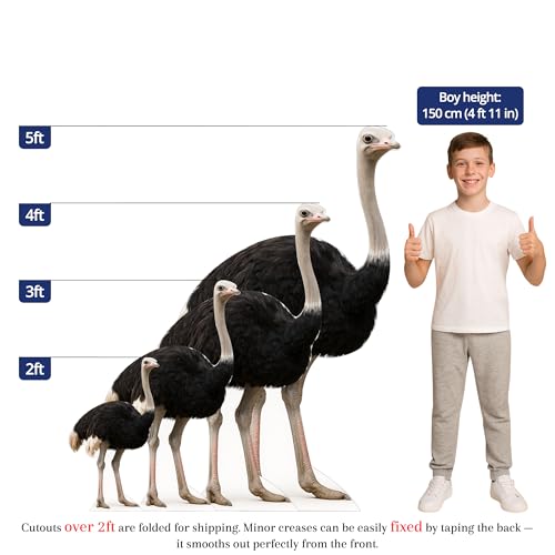 Image of Ostrich 3FT Life Size Cardboard Cutout - A Fun Animal Standup for Photo Booths, Birthday Parties, and Events
